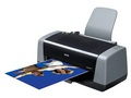 Epson b161b 图片