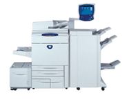 Fuji Xerox DocuColor 5065 图片