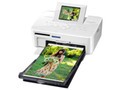 Canon SELPHY CP810 图片