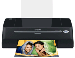 Epson Stylus T20 图片