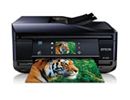 Epson Expression Premium XP-800 图片