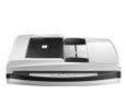 Founder Z20D