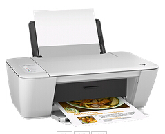 HP Deskjet 1513 图片