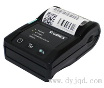 Godex MX30i