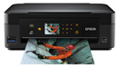 Epson Stylus SX440W 图片