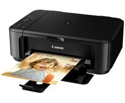 Canon PIXMA MG2260 图片