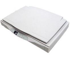 Avision AW6060