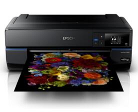 Epson SureColor P808 ͼƬ