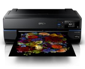Epson SureColor P808 图片