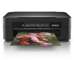 Epson Expression Home XP-243 图片
