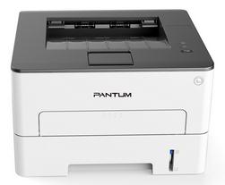 Pantum P3010D 图片