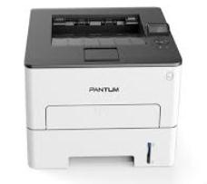Pantum P3010DW 图片