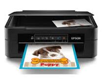 Epson XP-241 图片