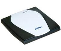 WinMage F1300