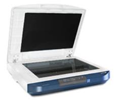 Xerox DocuMate 4700 ͼƬ