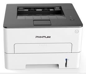 奔图 P3019DW 图片