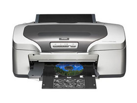 Epson Stylus Photo R800 图片