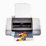 Epson Stylus Photo 890 图片