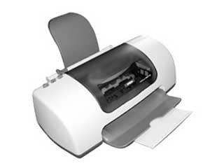 Epson Stylus Photo 810 图片