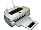 Epson Stylus Photo 710 图片