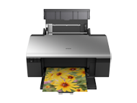 Epson Stylus Photo R290 图片
