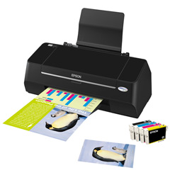 Epson Stylus T21 图片