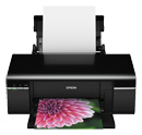 Epson Stylus Photo T59 图片