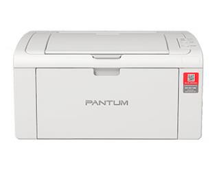 奔图 P2510 图片