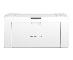 奔图 P2207W 图片