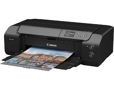 Canon PRO-310 图片