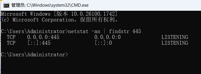CMD netstat 查看 445 端口监听状态